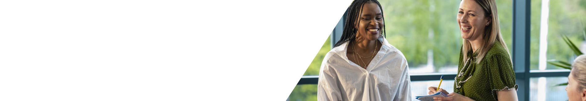 apprenticeships support hub banner