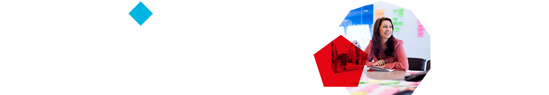 european vocational education banner