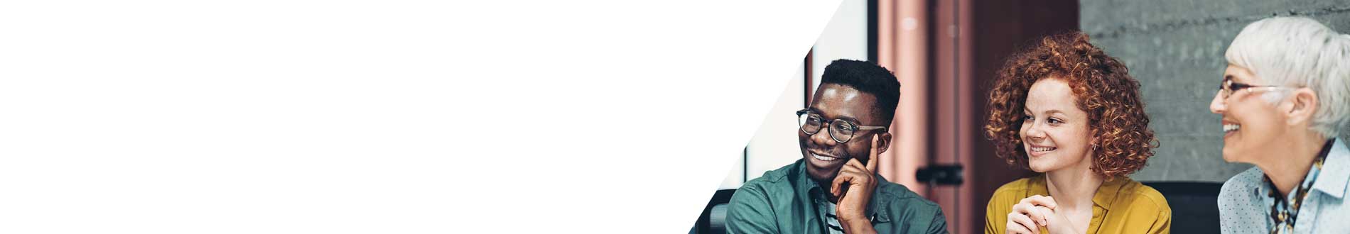 what we offer top level banner